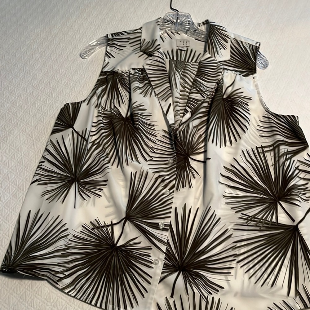 A New Day Palm Plant Top